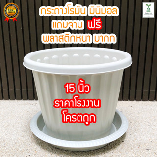 กระถางต้นไม้พลาสติกสีขาว ทรงโรมันสีขาวขนาด 15นิ้วฟรีจานรอง