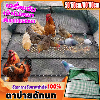 Large -size จะไม่ได้รับบาดเจ็บ ที่ดักนก กับดักนก กับดักไก่ กับดักไก่ป่า กับดัก โครงเป็นเหล็ก สปริงอย่างดี ตาข่ายในล่อน ด