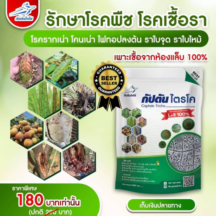 ไตรโคเดอร์มา ของแท้ 1ซอง (500 กรัม) กัปตันไตรโค เชื้อผงพร้อมใช้ captain tricho เพาะเชื้อจากห้อง LAB พร้อมใช้ กับตันไตโคร