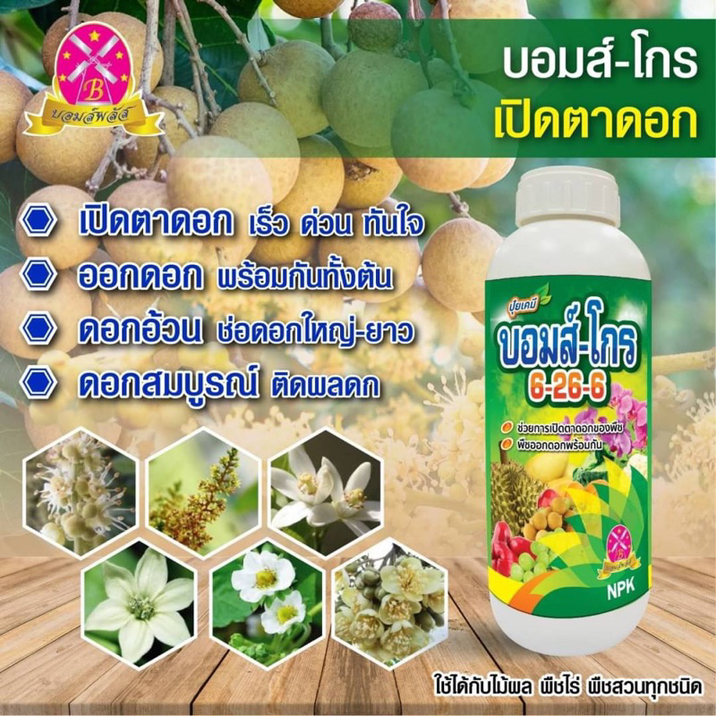 สตรอง-โกร กดใบอ่อน 🌿 ตัวเด็ด ‼ ใช้คู่บอมส์ดึงดอก เปิดตาดอกรวดเร็วทันใจ 🌸 (ขนาด 1 ลิตร)