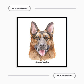 รูปภาพติดผนัง ภาพวาดตกแต่งบ้าน ภาพวาด German Shepherd พร้อมกรอบและติดที่แขวนเรียบร้อย