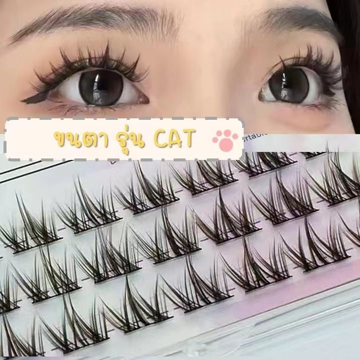 🛑 CAT 🛑 ขนตาปลอมช่อใหญ่