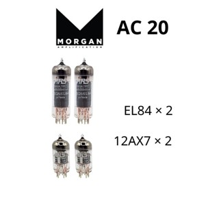 หลอดสุญญากาศ Vacuum Tube สำหรับแอมป์ MORGAN ตรงรุ่น ของแท้!หลอดแอมป์