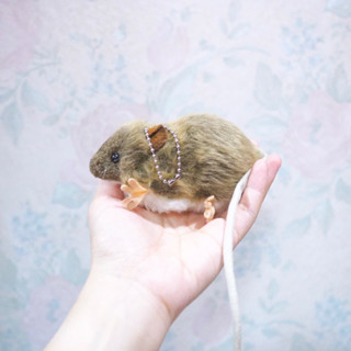 พวงกุญแจ ตุ๊กตา หนูท่อ 🐀 เหมือนมากกกกกกกกกกก หนูเหมือน