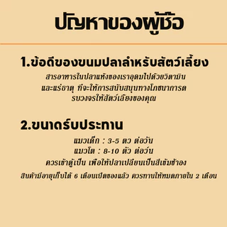ขนมแมว ปลาแมว ปลาอบแห้งแมว ไม่เติมเกลือ ขนมกินไม่อ้วน ปลอดภัยต่อไต โปรตีนสูงตัว สดใหม่ ขนม สุขภาพ 50 กรัม ขนมแมวฟรีซดรา