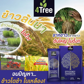 1 กล่อง 4Tree โฟร์ทรี สารเสริมประสิทธิภาพ สูตรอิออน พืชโตเร็ว แข็งแรง ทนแล้ง แมลงเพลี้ยหนอนไม่กวน ของแท้จากตัวแทนจำหน่าย