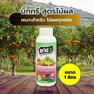 BIG3 สูตรไม้ผล ไม้ดอก ขนาด 1000 ML.12 ขวด