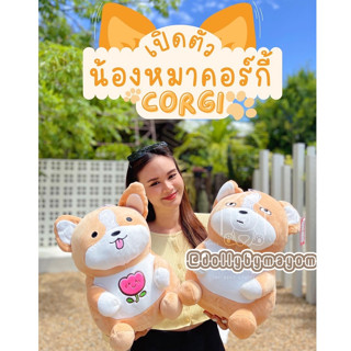 🔥ลด 50% ใช้โค้ด INCSL77🔥 น้องหมาคอร์กี้Corgi🐶 ร้านDollybymayom