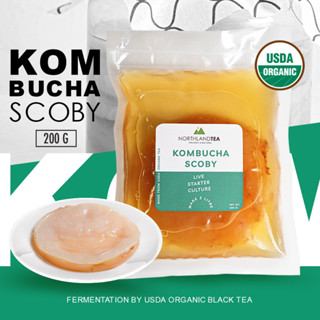 Northlandtea - Organic Kombucha SCOBY &amp; Culture Starter 200 ml - สโคบี้หัวเชื้อ พร้อมน้ำตั้งต้น ออร์แกนิคแท้ 100%