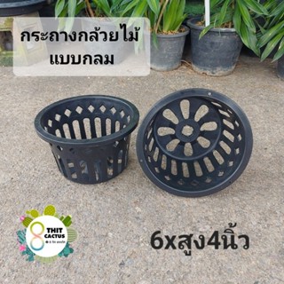 กระถางกล้วยไม้ แบบกลม 6x4นิ้ว // กด 12 ชิ้น 60฿ -- กระถางพลาสติก กระถางเกษตร