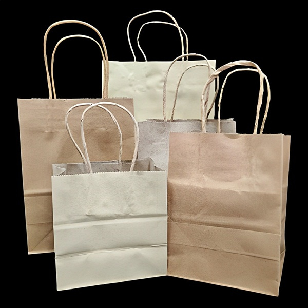 (1 ใบ) ถุงกระดาษพร้อมหูหิ้วแบบเกลียว