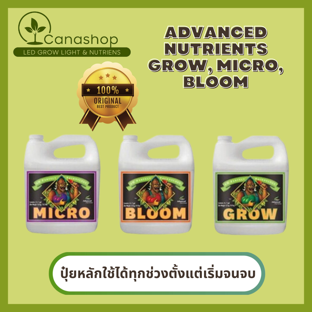 Advanced Nutrients Grow, Micro, Bloom ปุ๋ยหลักใช้ได้ทุกช่วงตั้งแต่เริ่มจนจบ 500ML 3ขวด