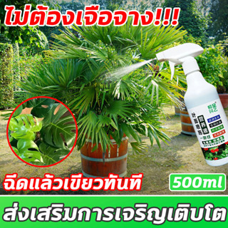 🌱เร่งเขียว🌱XHS โฮโมนบำรุงพืช ฮอร์โมนพืช ฮอร์โมนทางใบ 500ml ไม่จำเป็นต้องเจือจาง ​การดูดซึมสองเท่าของรากและใบ