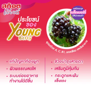 Scotch สก๊อต กระเช้า PP สก๊อตเพียวเร่ พรุนสกัดเข้มข้น สูตรใหม่เพิ่มยังเบอร์รี่ 40มล. จำนวน 10ขวด (1กระเช้า)