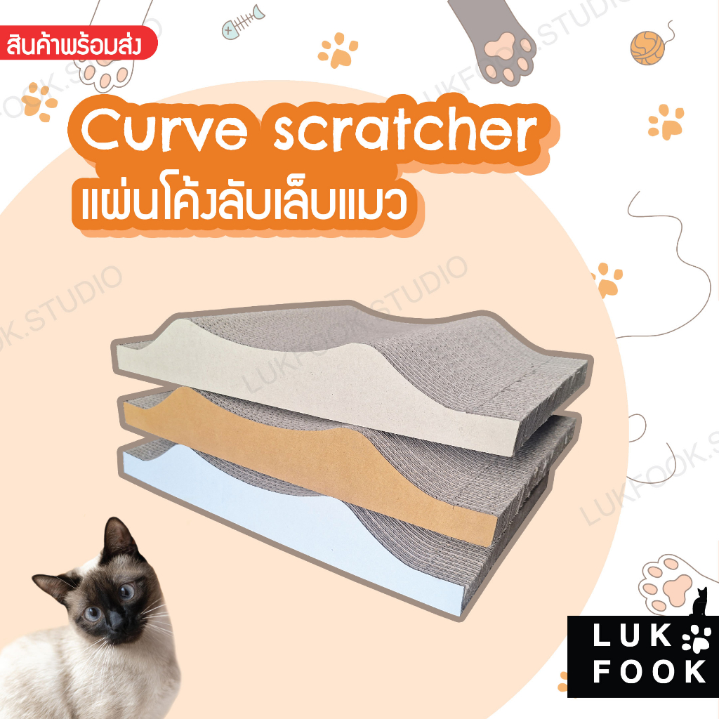 CURVE Cat Scratcher แผ่นโค้งลับเล็บแมว กระดาษลับเล็บแมว ที่ข่วนเล็บแมว ของเล่นแมว