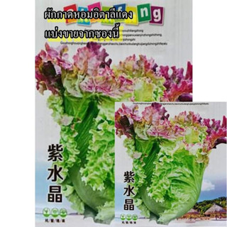 500+ เมล็ด เมล็ดผักกาดหอมอิตาลีแดง (หัวใหญ่ รสชาติกรอบหวาน อร่อยมาก ใบมีสีเขียวปนแดง)