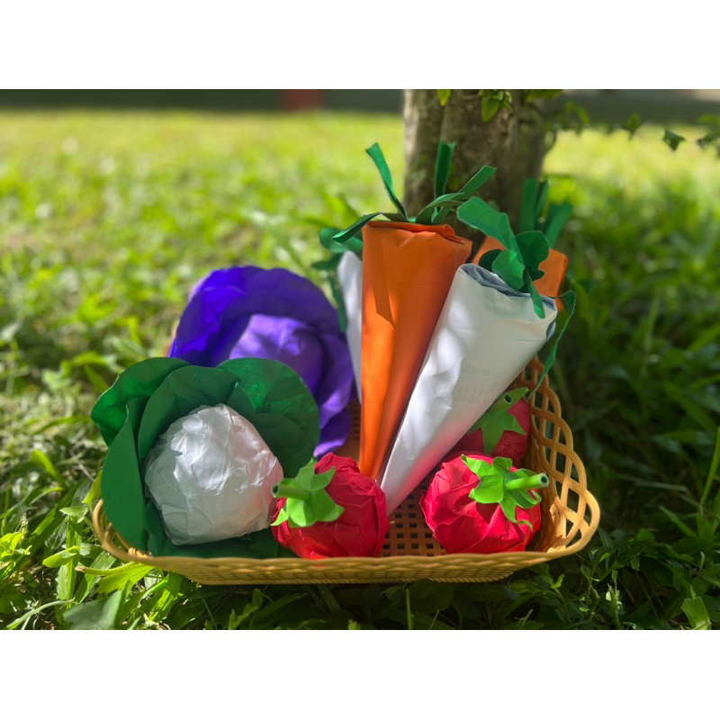 สื่อการสอนหน่วยผัก🥕🥬🍅