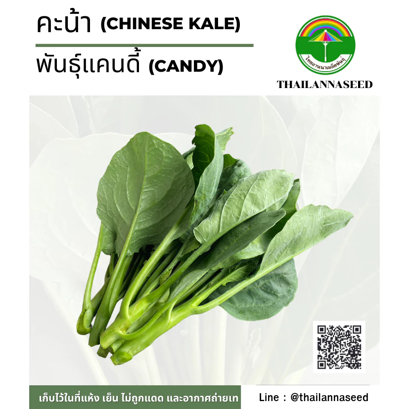 เมล็ดพันธุ์ผักสวนครัว คะน้า พันธุ์แคนดี้ ( ขนาด 2 กรัม ) รหัสสินค้า 6020