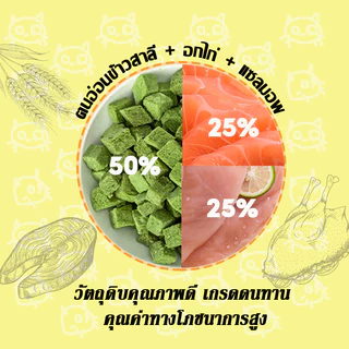 หญ้าแมวฟรีซดราย 50g ฟรีซดราย ขนมหญ้าแมว ขนมแมว ลดก้อนขน เม็ดหญ้าแมว ไม่ต้องปลูก ดีต่อสุขภาพ บำรุงขน