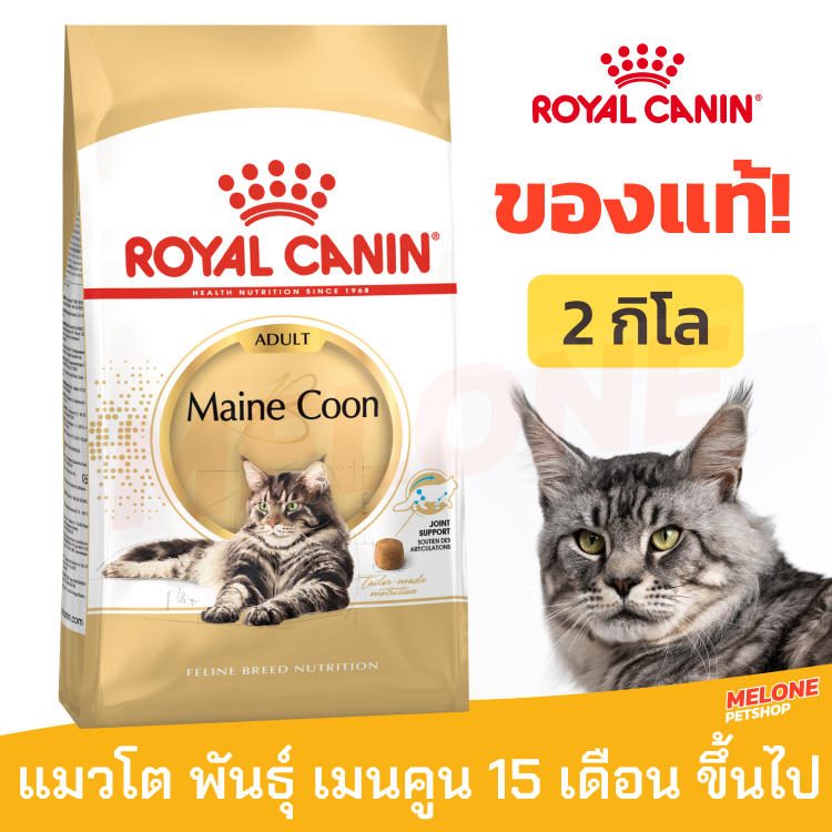 Royal Canin Maine Coon Adult อาหารแมว พันธุ์ เมนคูน อาหารแมว อายุ 15 เดือน ขึ้นไป ขนาด 2 กิโลกรัม