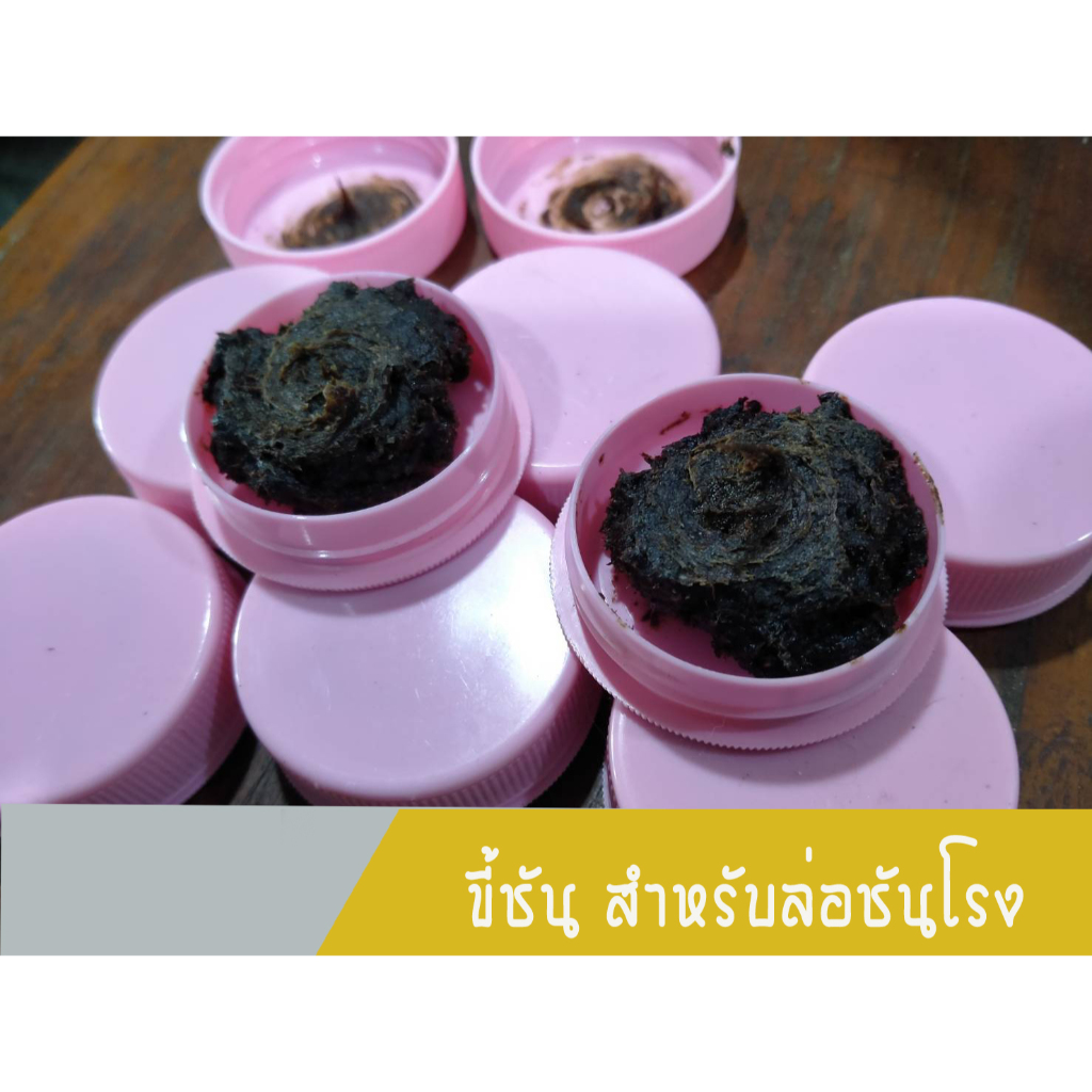 ขี้ชัน หรือชันสำหรับล่อผึ้งชันโรง ขนาด 10 กรัม