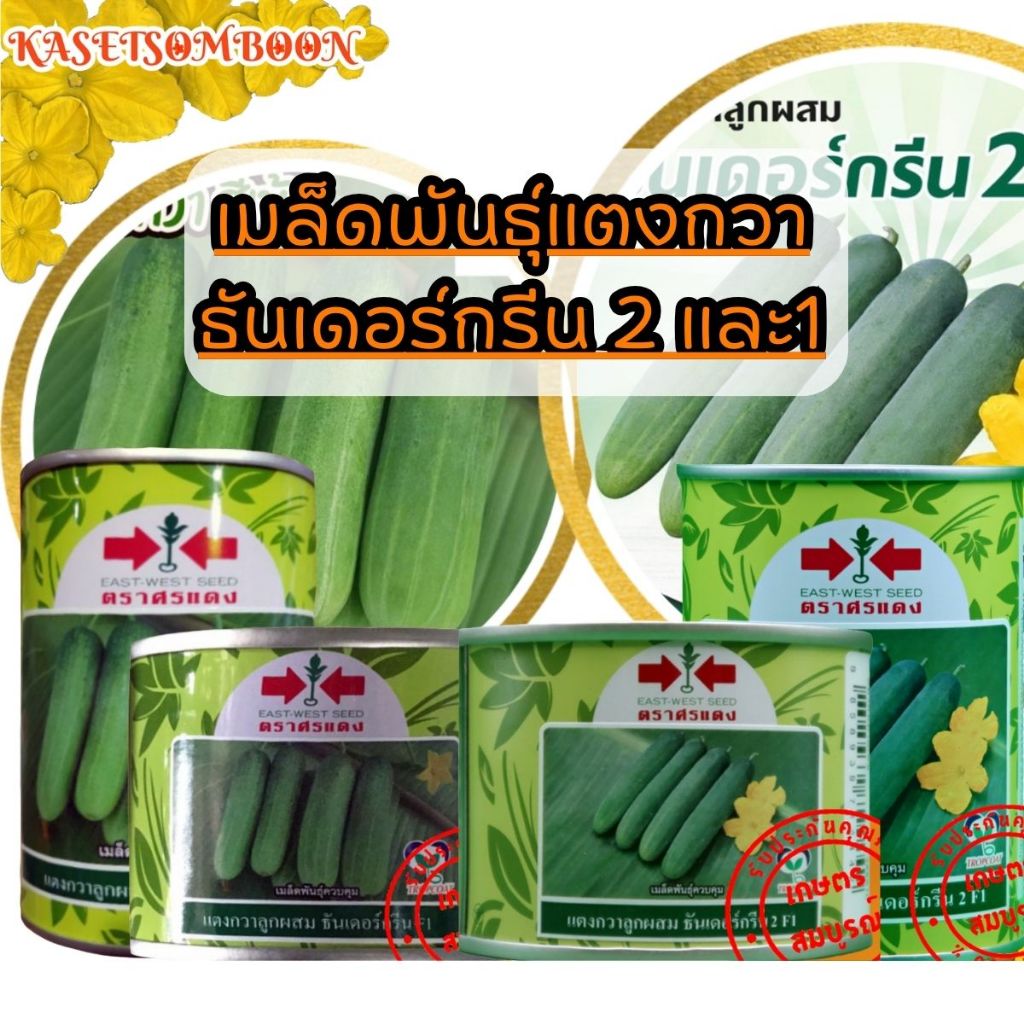ธันเดอร์กรีน 2 และ1 เมล็ดพันธุ์แตงกวา 50/100 ก. ตราศรแดง ผสสีเขียวสด ยาว 13 ซม.​