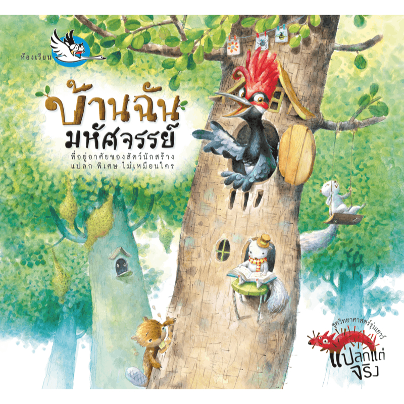 บ้านฉันมหัศจรรย์ ชุด วิทยาศาสตร์รุ่นเยาว์แปลกแต่จริง หนังสือเด็ก นิทานเด็ก นิทาน EF นิทานภาพ นิทานก่อนนอน หนังสือแม่และ