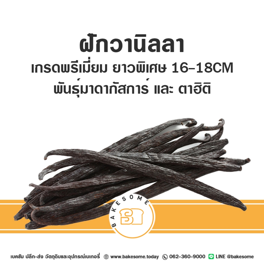 หอมเกินต้าน ฝักวานิลลา ฝักวนิลลา พันธ์ุมาดากัสการ์และตาฮิติ แพคใหญ่ 250G Vanilla Bean Vanilla Pod
