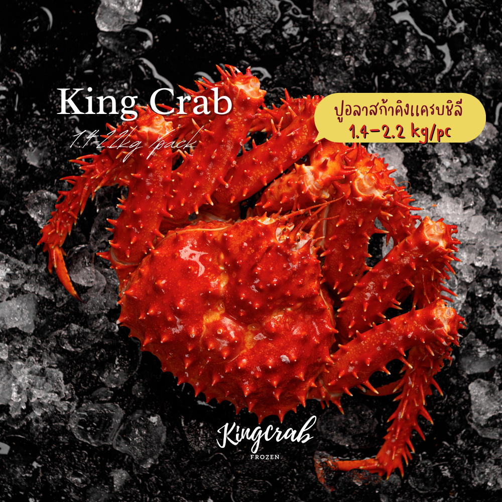 ปูอลาสก้าทุกไซส์ KINGCRAB CHILEAN SIZE 1.4-2.2 KG /PC