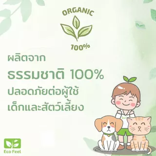 Eco Feel สเปรย์ไล่จิ้งจกตุ๊กแก สมุนไพร Organic100% 250ml ปลอดภัยต่อผู้ใช้,สัตว์เลี้ยง ไล่ไม่ฆ่า❌🪦