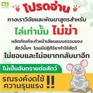 Eco Feel สเปรย์สมุนไพรไล่ยุง Organic100% 250ml ปลอดภัยต่อผู้ใช้สัตว์เลี้ยง Mosquito repellent