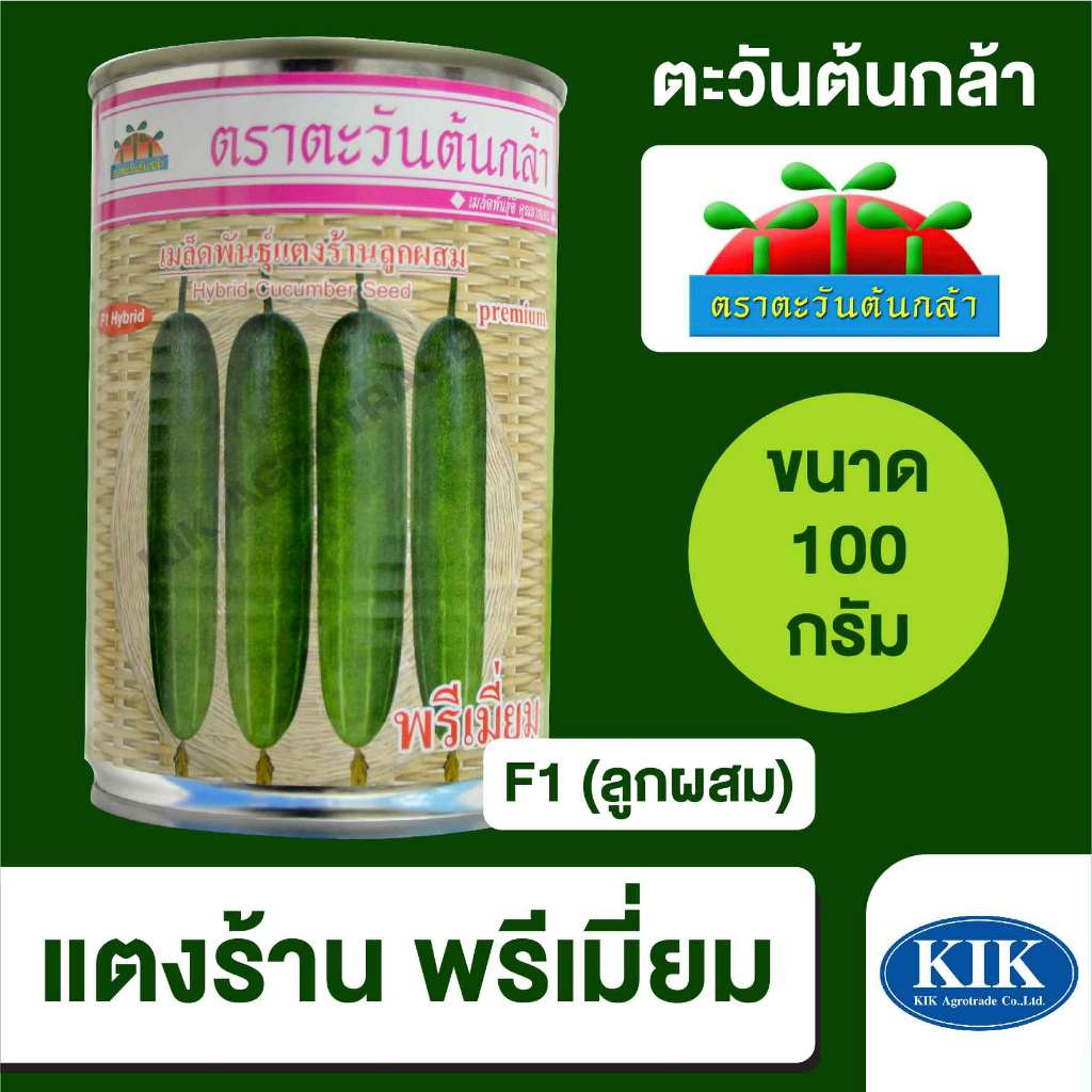 เมล็ดพันธุ์ ตะวันต้นกล้า แตงร้าน พรีเมี่ยม SP BIG  ขนาด 100 กรัม