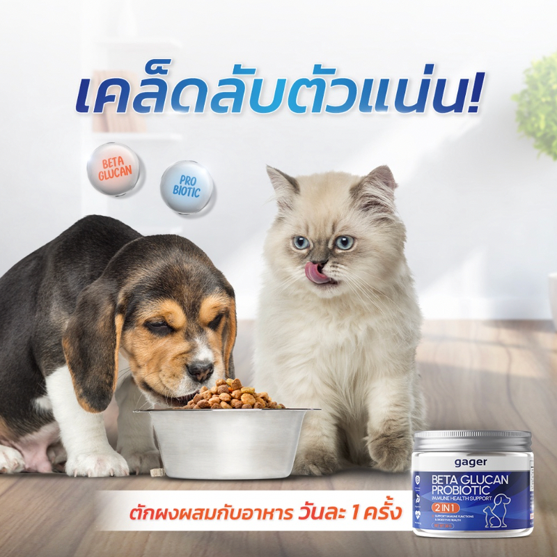 รูปภาพ 5