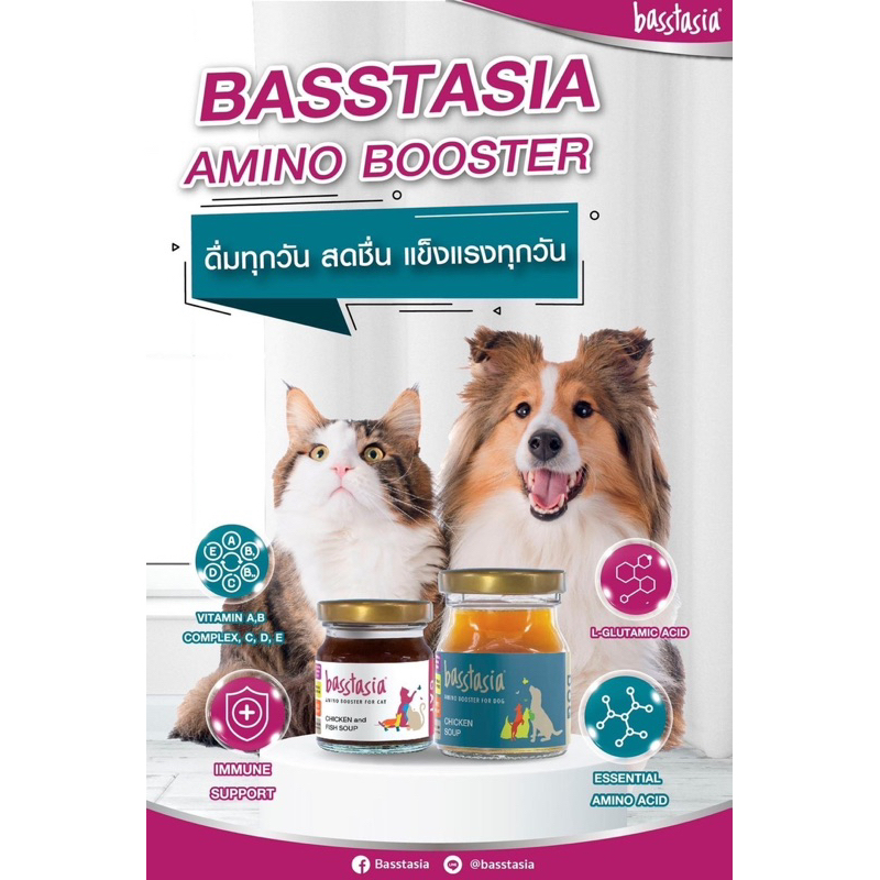 Basstasia amino booster น้ำซุบไก่สกัดเข้มข้นสำหรับสุนัขและแมว