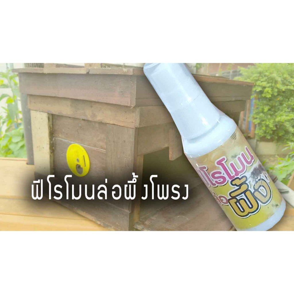 (ล่อผึ้งโพรง) ฟีโรโมน สำหรับฉีดกล่องเลี้ยงผึ้ง หรือเพื่อล่อผึ้งโพรงมาเลี้ยง ของแท้ดั้งเดิม ผลิตโดยสวนราชินี