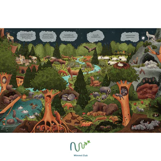 Wimmel Club หนังสือสุดวุ่น ท่องโลกในยามค่ำคืน | หนังสือวิมเมล ค้นหาและเล่าเรื่อง | บอร์ดบุ๊ค