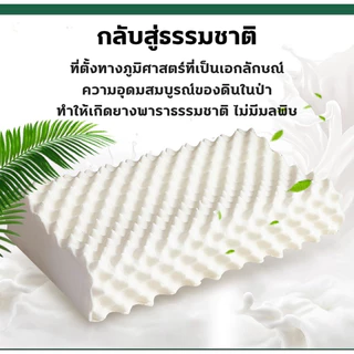 BONASหมอนยางพาราแท้ รุ่น เกรดพรีเมี่ยม ลดกรน แก้ปวดคอ จัดระเบียบกระดูกสันหลัง กันไรฝุ่น หมอนเพื่อสุขภาพ S/M/L