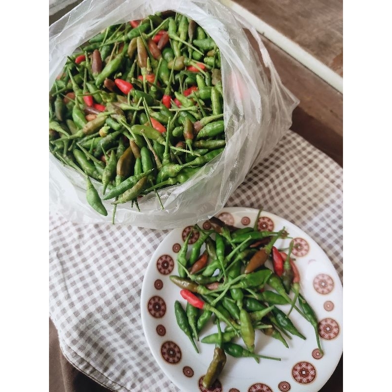 พริกหอมสด ปลอดสารพิษ