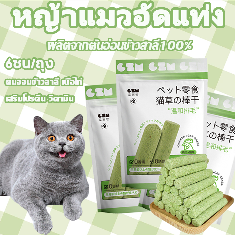หญ้าแมวฟรีซดราย อาหารแมว หญ้าแมวอัดแท่ง แบบซอง 6 แท่ง ช่วยขัดฟัน เพื่อกำจัดก้อนขน ผลิตจากต้นอ่อนข้าวสาลี ขนมหญ้าแมว