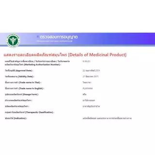 ล็อตใหม่!! ไพลวาน่า ครีม Plaivana Cream น้ำมันไพล14% ขนาด 15 / 35 / 100 กรัม (1 หลอด)