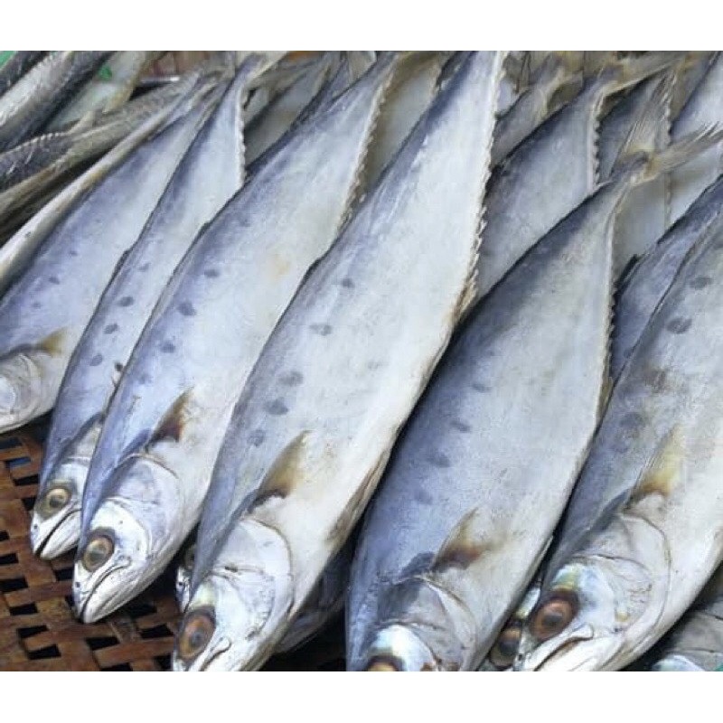 ปลาสีเสียด ไม่เค็ม เนื้ออร่อย ปลาตากแห้ง อาหารทะเลแห้ง ปลาสีเสียด 1 กิโลกรัม