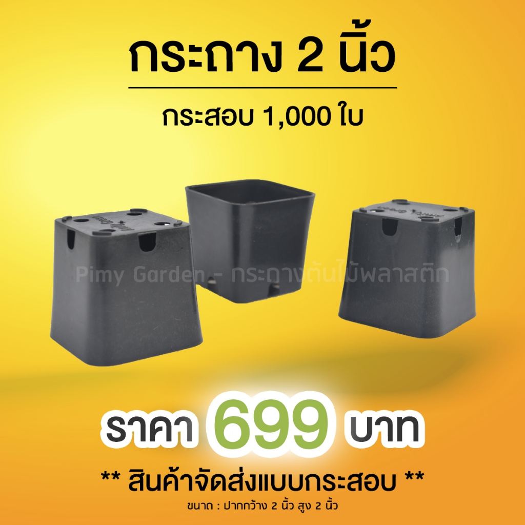 กระถางสี่เหลี่ยม 2 นิ้ว สีดำ ยกกระสอบ 1000 ใบ