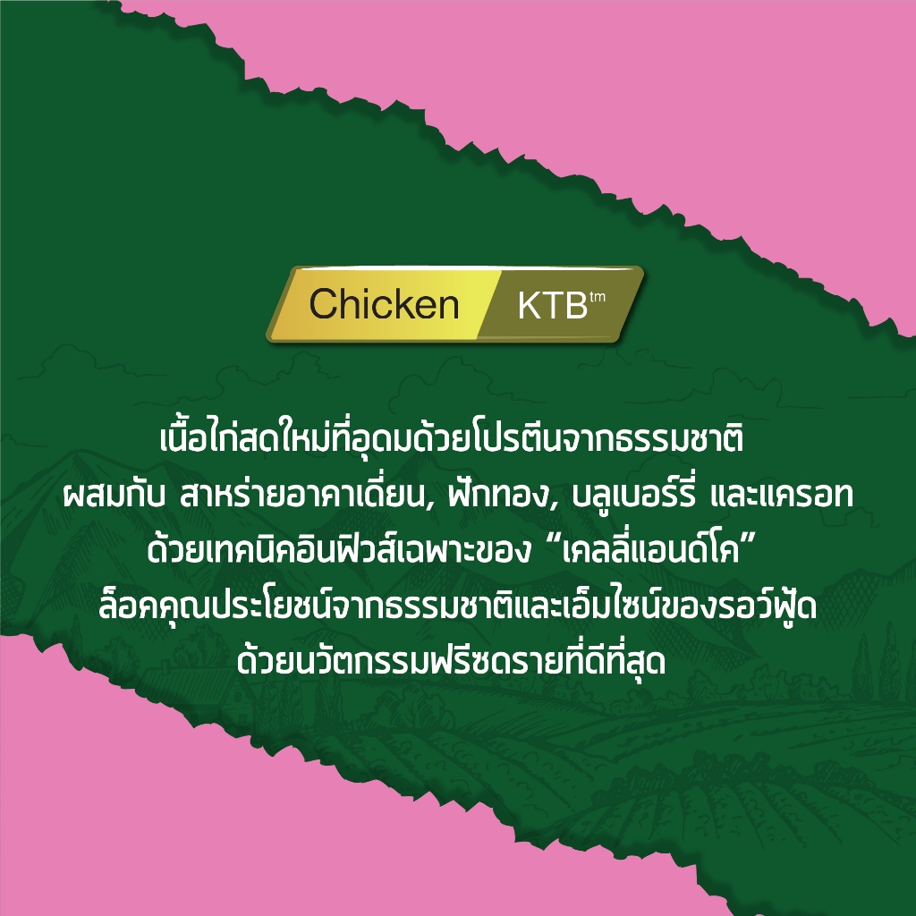 Kelly & Co's طعام قطط Raw Mix بريميوم بقطع مجففة بالتجميد — صورة 7