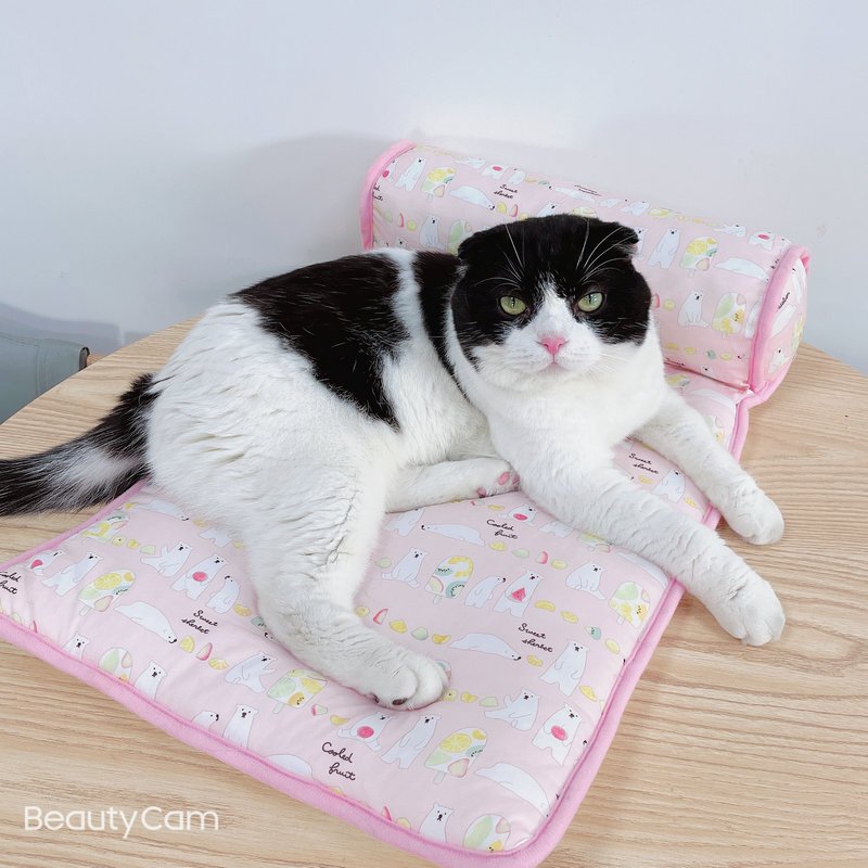 🌈Pet Coolmat แผ่นนาโน🌈 ที่นอนเย็น ไม่แอร์ก็เย็น ไม่ต้องแช่ตู่เย็น ที่นอนสัตว์เลี้ยง เบาะนอนเย็น ที่นอนสุนัข แผ่นเย็นแมว รูปที่ 6