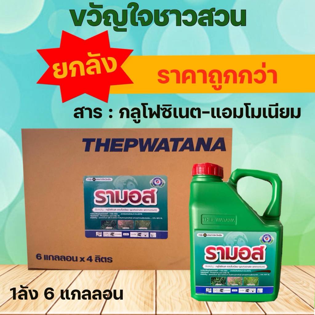รามอส 4 ลิตร (ยกลัง6แกลลอน) สารกลูโฟซิเนต-แอมโมเนียม กำจัดวัชพืชประเภทใบกว้าง เผาไหม้กึ่งดูดซึม ใบแคบ กำจัดได้ทุกชนิด