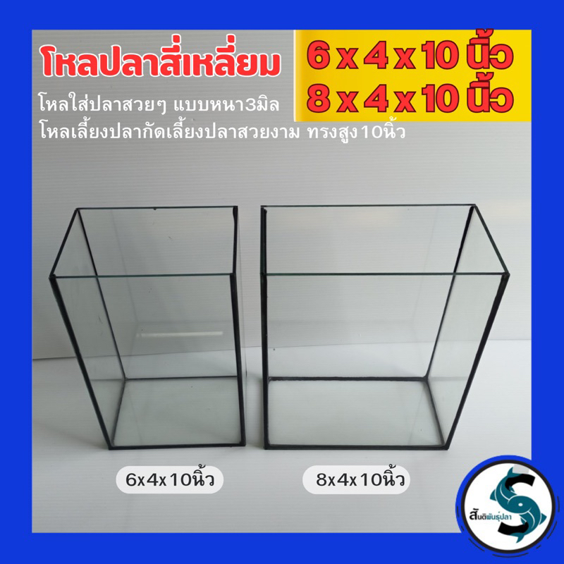 🔥ตู้ปลา โหลปลา ตู้กุ้ง ตู้ปลาขนาด6x4x10 / 8x4x10 นิ้ว กระจกหนา 3 มิล