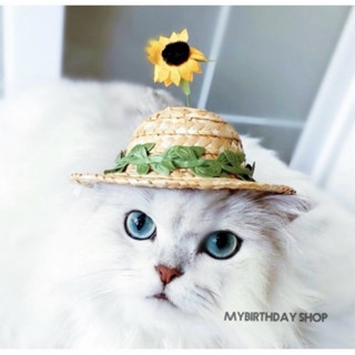 หมวกหมาแมว หมวกสาน สินค้าพร้อมส่ง