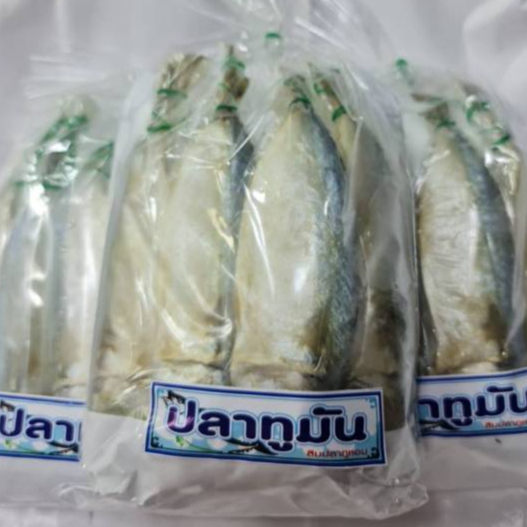 ปลาทูมัน เค็มน้อย / ปลาทูหอม เค็มอร่อย ในแพ็คมี 3-5ตัว (กัลยาปลาหมึกแห้ง)