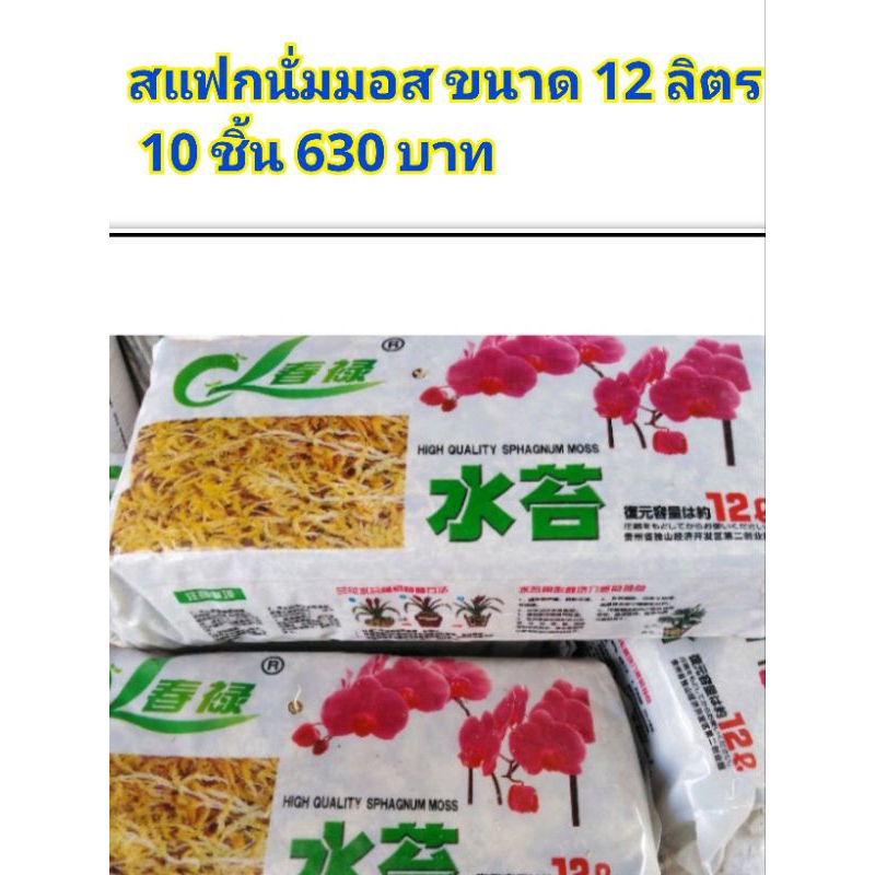 สแฟกนั่มมอส​12Lเซต10ชิ้น630บ. sphagnum moss  พร้อมส่ง