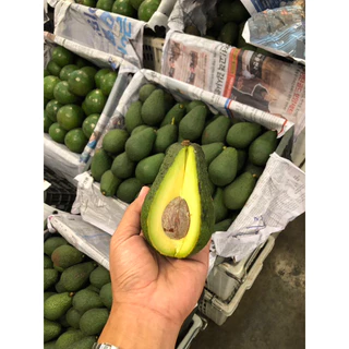พร้อมส่ง‼️(1KG) อโวคาโด้ แก่จัด avocado🥑 แฮส hass TA21 034 แฮส บูท7 บัคคาเนีย